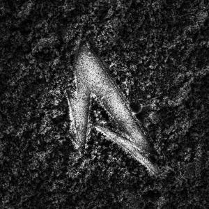 Niemand hzd的專輯In Dim Light