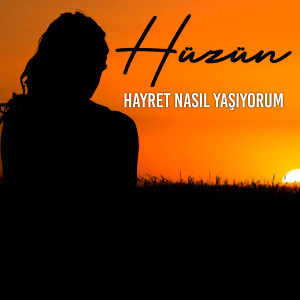 Listen to Hayret Nasıl Yaşıyorum song with lyrics from Hüzün