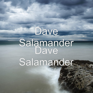 Dengarkan lagu Dunia Menangis nyanyian Dave Salamander dengan lirik