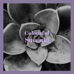 อัลบัม Colourful Succubi ศิลปิน Various