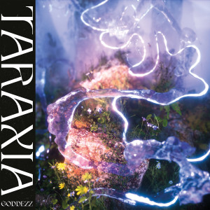 อัลบัม Taraxia ศิลปิน V