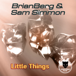 Album Little Things (Long Version) from BrianBerg