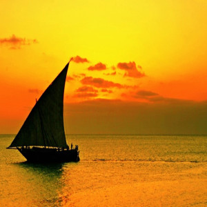 收聽Wilma Klein的Love Is Gone歌詞歌曲