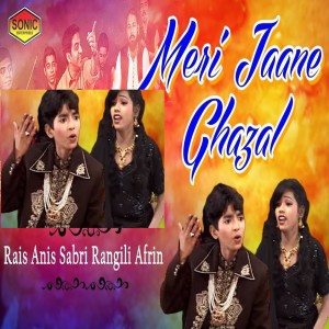 收聽Rais Anis Sabri的Meri Jaane Ghazal歌詞歌曲