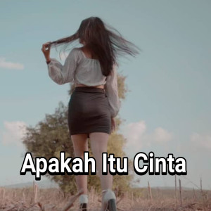 ดาวน์โหลดและฟังเพลง Apakah Itu Cinta (Explicit) พร้อมเนื้อเพลงจาก Era Syaqira