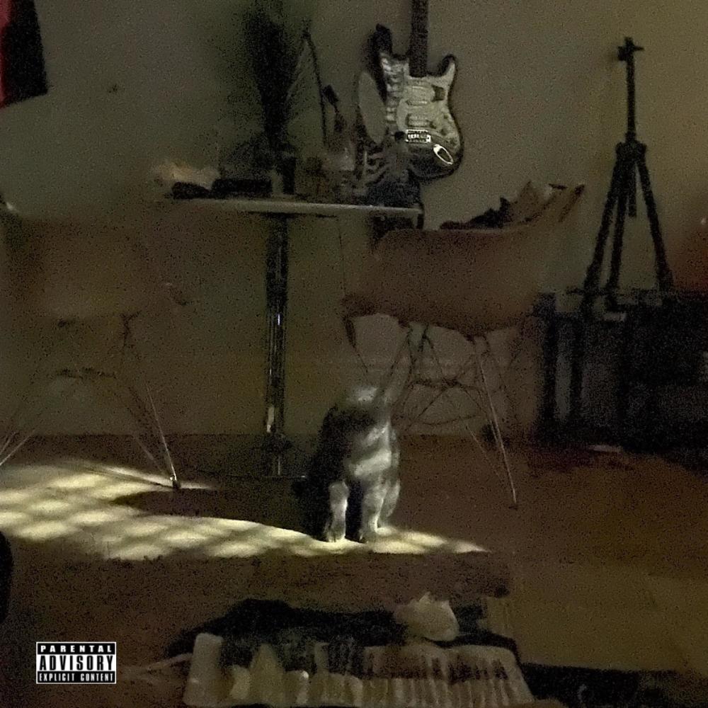 Dangerzone (shadow) (Explicit)