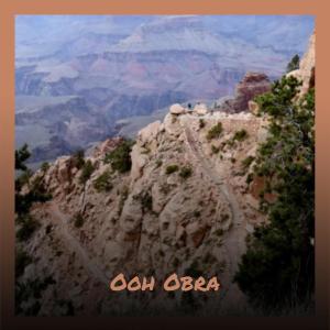 Listen to Ooh Obra song with lyrics from Wina Coki