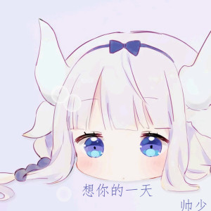 帅少的专辑想你的一天