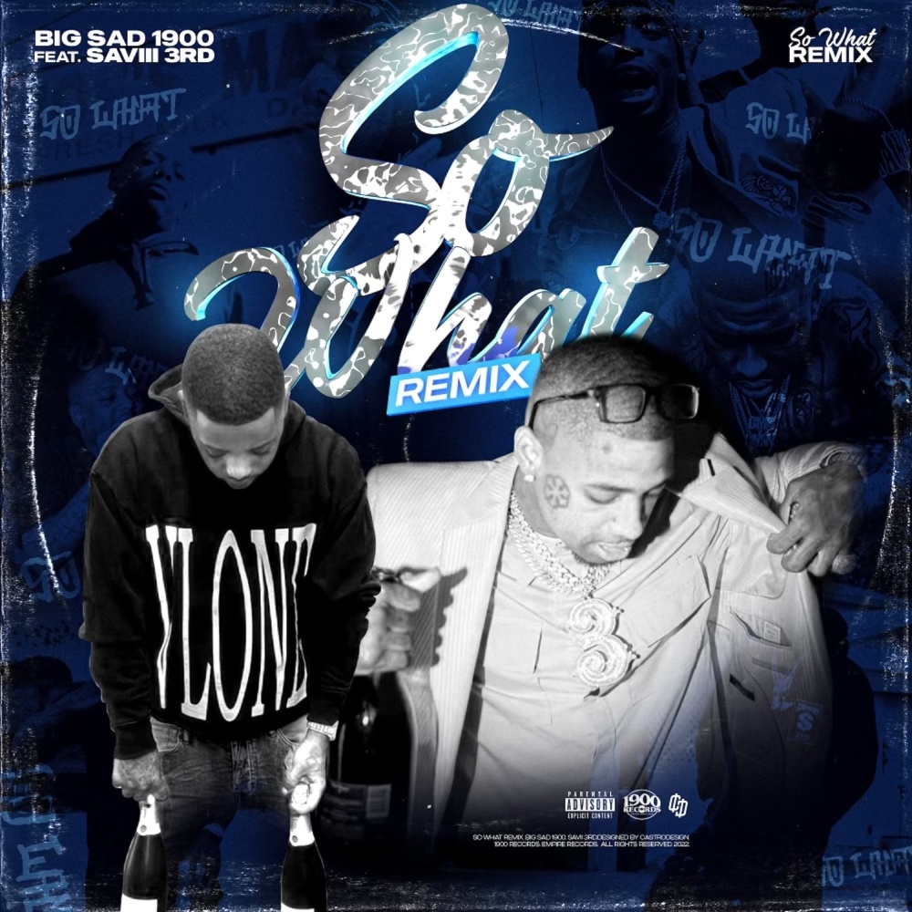 So What (Remix|Explicit)