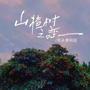 收听耳朵便利店的山楂树之恋 (温柔男版)歌词歌曲