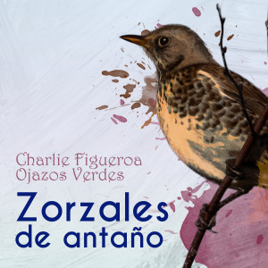 收聽Charlie Figueroa的La Muñeca歌詞歌曲
