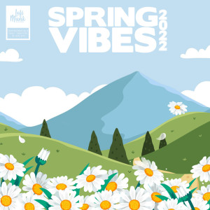 Album Spring Vibes 2022 from Lofi Munk Music