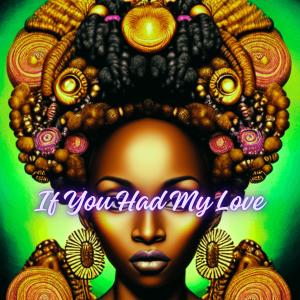 Listen to If You Had My Love song with lyrics from HyperJim