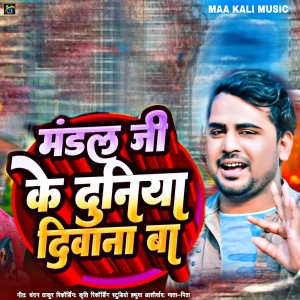 Album Mandal Ji Ke Duniya Diwana Ba from 