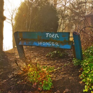 Listen to WONDER (Inst.) (Instrumental) song with lyrics from TGER