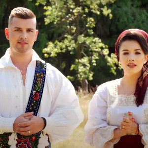 Listen to O Măicuță Sfântă (Priceasnă) song with lyrics from Diana Cârlig