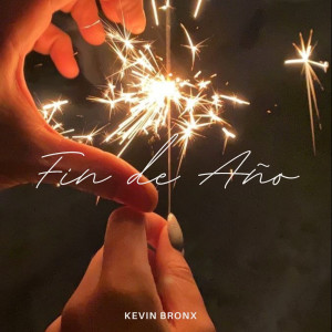 Album Fin De Año from Kevin Bronx