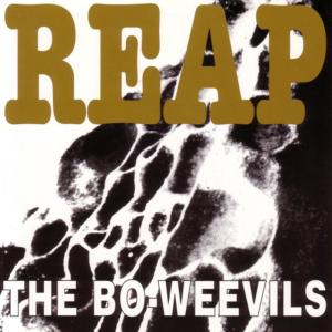 อัลบัม Reap ศิลปิน The Bo-Weevils