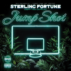 Sterling Fortune的專輯Jump Shot