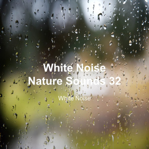 White Noise的专辑White Noise 32 (Rain Sounds, Bonfire Sound, Baby Sleep, Deep Sleep)