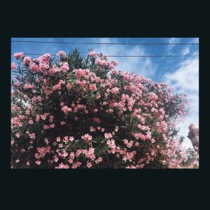 收聽Ceres的Talking歌詞歌曲