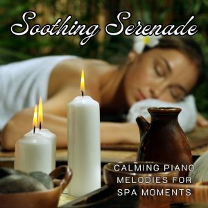 Joseph Alenin的專輯Soothing Serenade: Calming Piano Melodies for Spa Moments