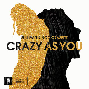 Listen to Crazy as You song with lyrics from Sullivan King