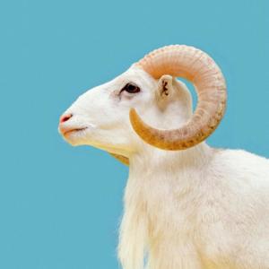 收聽Will Gambola Sing的Passenger Seat歌詞歌曲