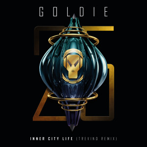 อัลบัม Inner City Life (Trevino Remix) ศิลปิน Goldie