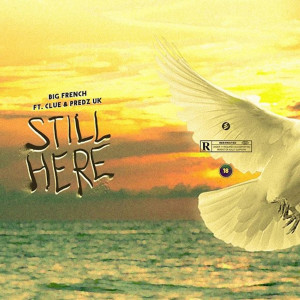 Album Still Here (feat. predz uk & clue) from Predz UK