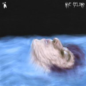 Listen to Niye Geldin song with lyrics from Lil Owlin