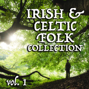 Album Irish & Celtic Folk Collection vol. 1 from Various Artists