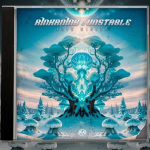 อัลบัม Acid Winter ศิลปิน Rinkadink