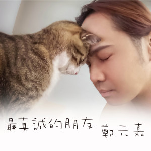 Listen to Stray song with lyrics from 郑元嘉