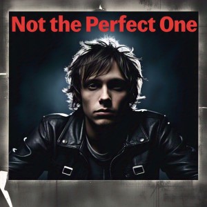 Shakila的專輯Not the Perfect One