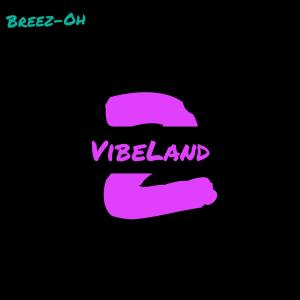 2groovy的專輯Vibeland 2 (Explicit)