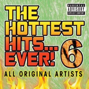 Various Artists的專輯The Hottest Hits Ever 6