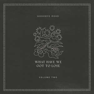 Album What Have We Got to Lose from Drew Holcomb & The Neighbors