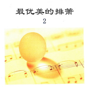Album 最优美的排箫 2 from 新时代乐团