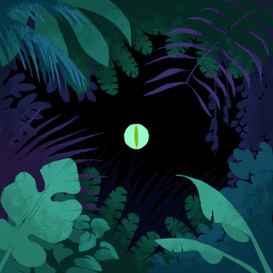 Album Oui Monsieur / Raptor (Explicit) from 