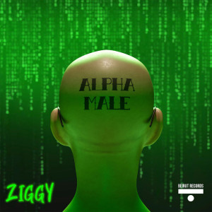 Listen to Alpha Male song with lyrics from Ziggy
