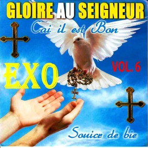 收聽EXO的Nous avons péché歌詞歌曲