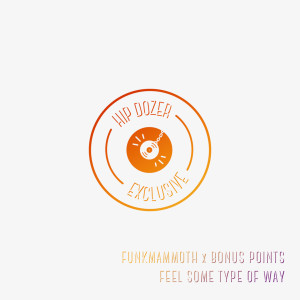 Dengarkan Feel Some Type of Way lagu dari Funkmammoth dengan lirik