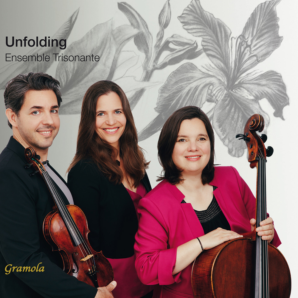 Piano Trio in G Major: Iv Finale. Appassionato