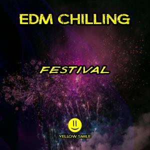 Various的專輯EDM Chilling Festival