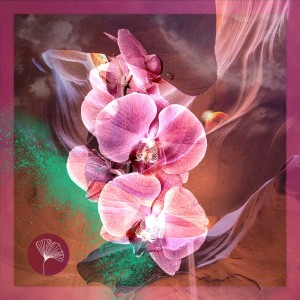 Listen to Breathe song with lyrics from DJ Chus