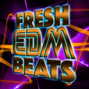 ดาวน์โหลดและฟังเพลง High Life พร้อมเนื้อเพลงจาก Fresh EDM