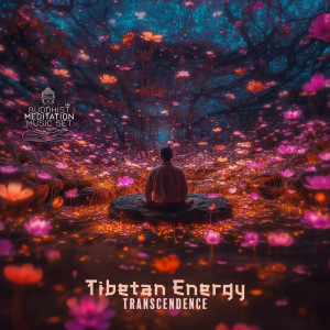 อัลบัม Tibetan Energy Transcendence ศิลปิน Buddhist Meditation Music Set