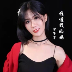 Album 谁懂我的痛 from 杨顺高