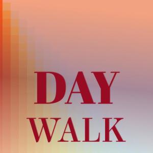 Various的专辑Day Walk